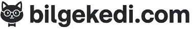 bilgekedi.com